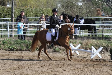 Bild 194 - WBO-Turnier am 9.4.11